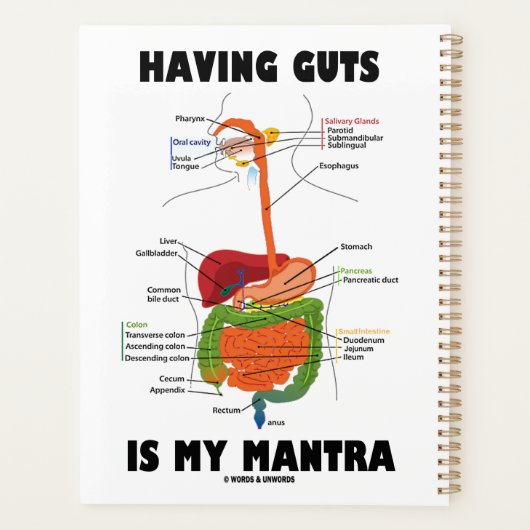 Het hebben van lef is mijn mantra spijsverteringss planner (Achterkant)