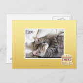 Het heeft een U Briefkaart (Voorkant / Achterkant)