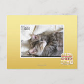 Het heeft een U Briefkaart (Voorkant)