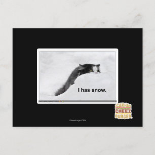 Het heeft sneeuw. briefkaart