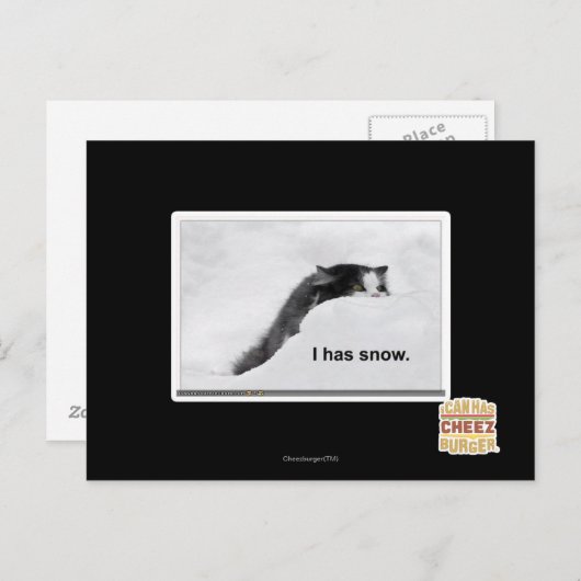 Het heeft sneeuw. briefkaart (Voorkant / Achterkant)