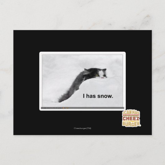 Het heeft sneeuw. briefkaart (Voorkant)