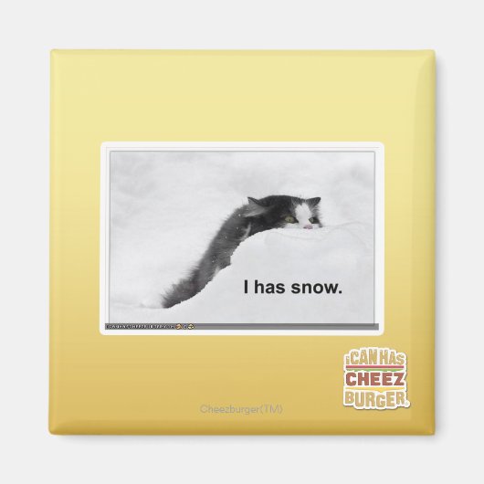 Het heeft sneeuw. magneet (Voorkant)