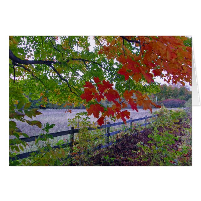 Het hek (Voorkant Horizontaal)