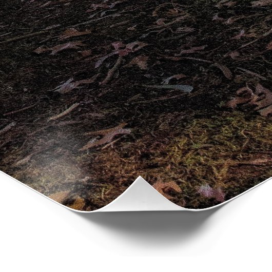 Het hek perfect poster (Hoek)