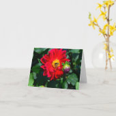 Het heldere Rode Wenskaart van de Knop van de Kaart (Gele Bloem)