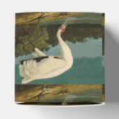 Het hele Crane Audubon-vogelschilderen Bedankdoosjes (Bovenkant)