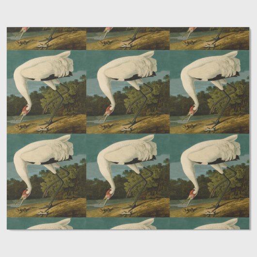 Het hele Crane Audubon-vogelschilderen Cadeaupapier (Vlak)