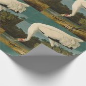 Het hele Crane Audubon-vogelschilderen Cadeaupapier (Hoek)