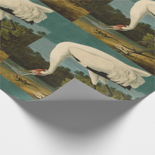 Het hele Crane Audubon-vogelschilderen Cadeaupapier (Hoek)