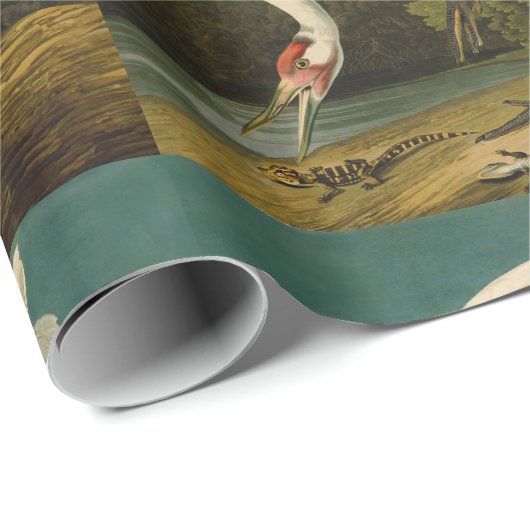 Het hele Crane Audubon-vogelschilderen Cadeaupapier (Rol Hoek)