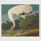 Het hele Crane Audubon-vogelschilderen Cadeaupapier (Vlak)