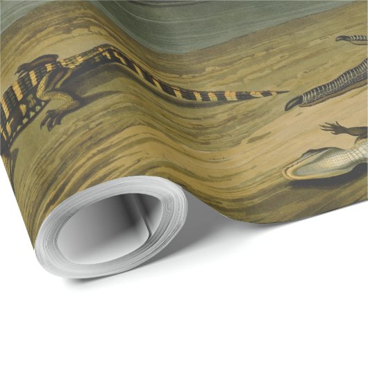 Het hele Crane Audubon-vogelschilderen Cadeaupapier (Rol Hoek)