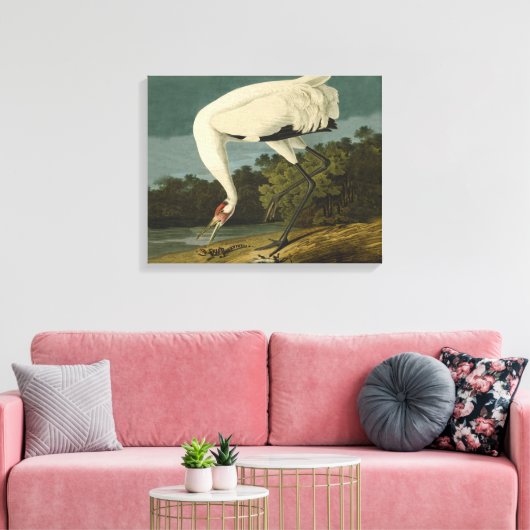 Het hele Crane Audubon-vogelschilderen Canvas Afdruk (Insitu (Woonkamer))
