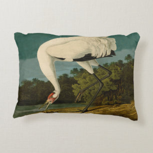 Het hele Crane Audubon-vogelschilderen Decoratief Kussen