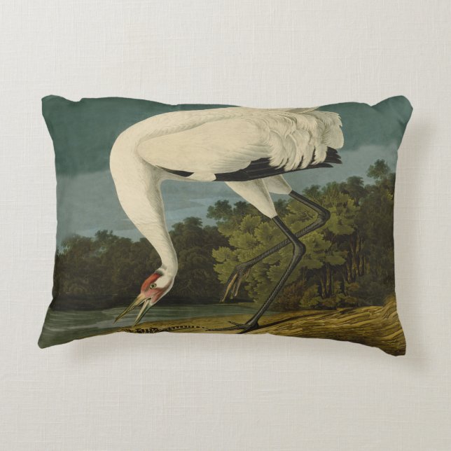 Het hele Crane Audubon-vogelschilderen Decoratief Kussen (Achterkant)