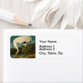 Het hele Crane Audubon-vogelschilderen Etiket (Insitu)