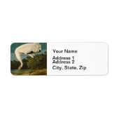 Het hele Crane Audubon-vogelschilderen Etiket (Voorkant)