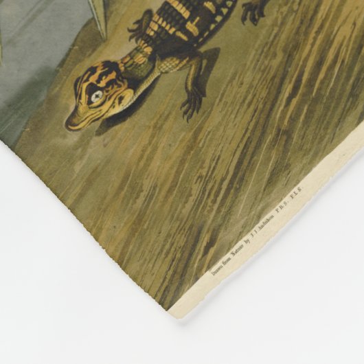 Het hele Crane Audubon-vogelschilderen Fleece Deken (Hoek)