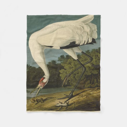 Het hele Crane Audubon-vogelschilderen Fleece Deken (Voorkant)