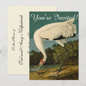 Het hele Crane Audubon-vogelschilderen Kaart (Voorkant / Achterkant)