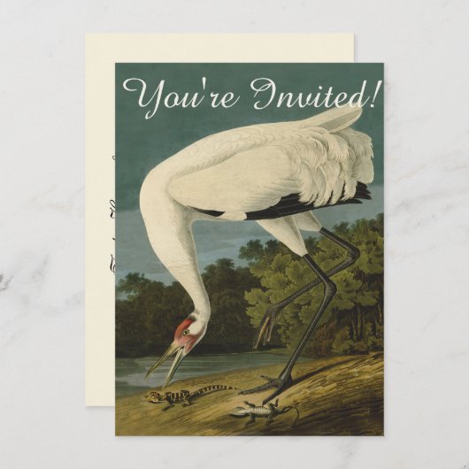 Het hele Crane Audubon-vogelschilderen Kaart (Voorkant / Achterkant)