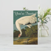 Het hele Crane Audubon-vogelschilderen Kaart (Staand voorkant)