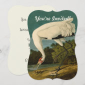 Het hele Crane Audubon-vogelschilderen Kaart (Voorkant / Achterkant)