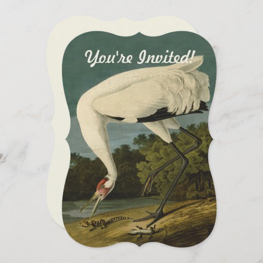 Het hele Crane Audubon-vogelschilderen Kaart (Voorkant / Achterkant)