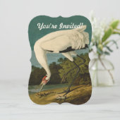 Het hele Crane Audubon-vogelschilderen Kaart (Staand voorkant)