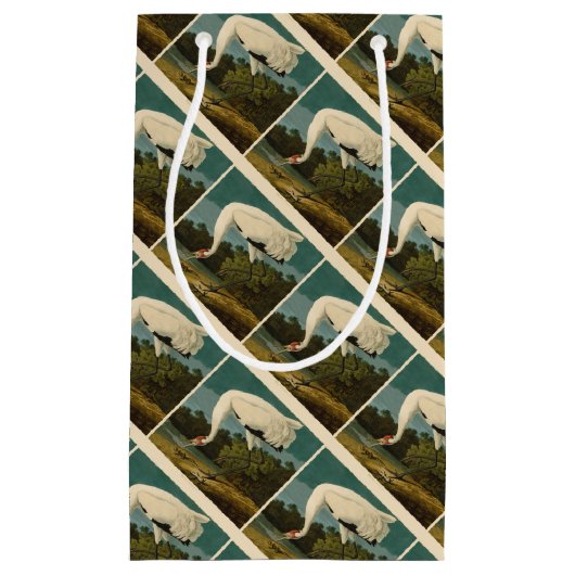 Het hele Crane Audubon-vogelschilderen Klein Cadeauzakje (Voorkant)