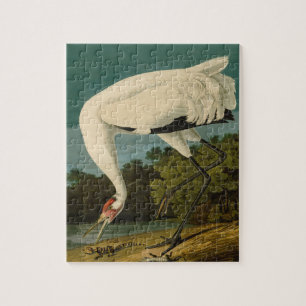 Het hele Crane Audubon-vogelschilderen Legpuzzel