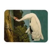 Het hele Crane Audubon-vogelschilderen Magneet (Horizontaal)