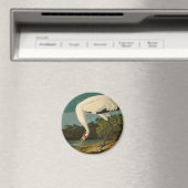 Het hele Crane Audubon-vogelschilderen Magneet (Insitu (Vaatwasser))