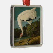 Het hele Crane Audubon-vogelschilderen Metalen Ornament (Rechts)