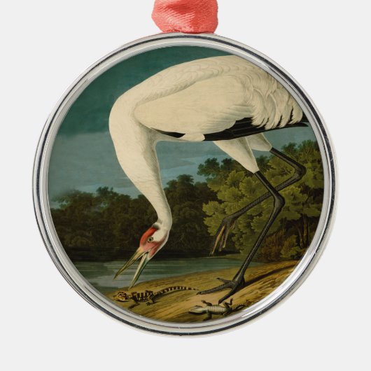 Het hele Crane Audubon-vogelschilderen Metalen Ornament (Voorkant)