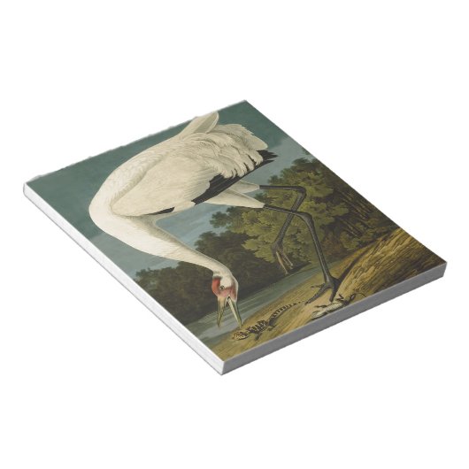 Het hele Crane Audubon-vogelschilderen Notitieblok (Schuin)