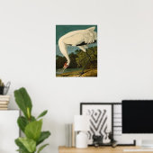 Het hele Crane Audubon-vogelschilderen Poster (Thuiskantoor)