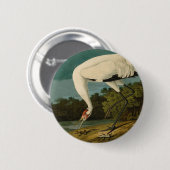 Het hele Crane Audubon-vogelschilderen Ronde Button 5,7 Cm (Voorkant /achterkant)