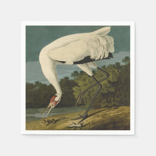 Het hele Crane Audubon-vogelschilderen Servet (Voorkant)