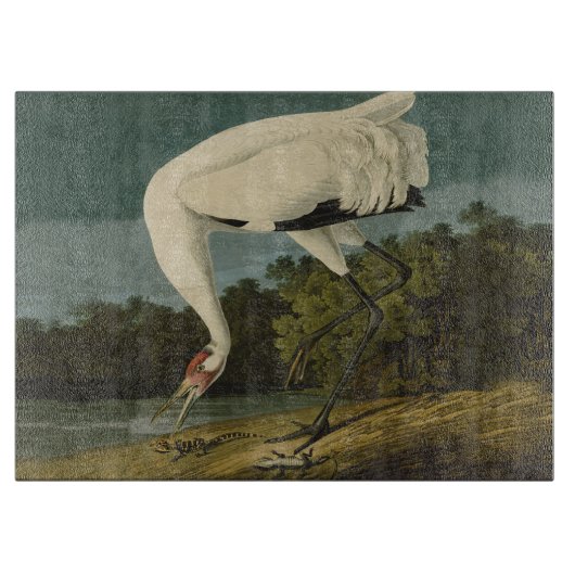 Het hele Crane Audubon-vogelschilderen Snijplank (Voorkant)