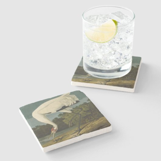 Het hele Crane Audubon-vogelschilderen Stenen Onderzetter (Zijkant)