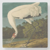 Het hele Crane Audubon-vogelschilderen Stenen Onderzetter (Voorkant)