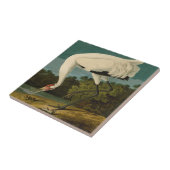 Het hele Crane Audubon-vogelschilderen Tegeltje (Zijkant)