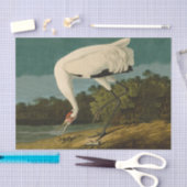 Het hele Crane Audubon-vogelschilderen Tissuepapier (Craft)