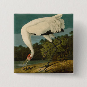 Het hele Crane Audubon-vogelschilderen Vierkante Button 5,1 Cm