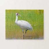 Het hele Crane Wading in Marsh Legpuzzel (Horizontaal)