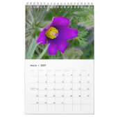 Het hele jaar door met bloemen kalender (Mar 2027)