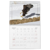 Het hele jaar door met de agenda van Eagles Kalender (Mar 2027)