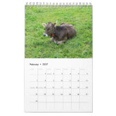 Het hele jaar door met koeien! kalender (Feb 2027)